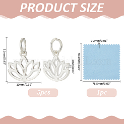 5 pz 925 ciondoli in argento sterling&nbsp;STER-ME0001-49