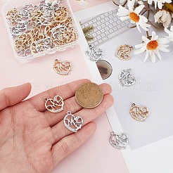 Pendenti con strass in lega 40 pz 2 colori&nbsp;FIND-GA0007-56