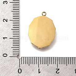 Подвески из нержавеющей стали 304 с эмалью&nbsp;STAS-Z161-08G