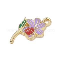 Подвески из эмали и сплава&nbsp;PALLOY-V003-01G-04