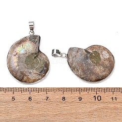 Fossil Anhänger&nbsp;X-G-D051-1