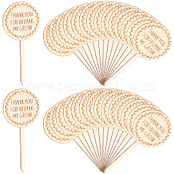 Holzpflanzenetiketten&nbsp;DIY-GF0014-39B