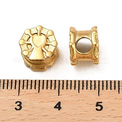 Европейские бусины из нержавеющей стали 304 STAS-Z052-05G