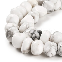 Природные Говлит бисер нитей G-G053-C09-01