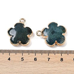 Природного индийского агата подвески&nbsp;G-P566-01G-12