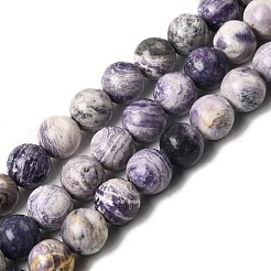 Нити бусин из натуральной фиолетовой яшмы в полоску G-K350-C03-10mm