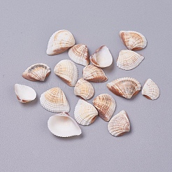 Perle di guscio&nbsp;SSHEL-TAC0001-02C