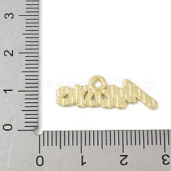 Панданы из сплава эмали&nbsp;FIND-M083-04B-G