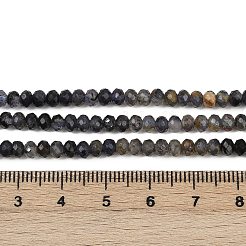 Природные иолит нитей бисера G-RM2025-C40-3x4mm