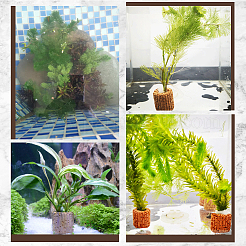 16 шт. многоразовое кольцо для аквариума из лавового камня&nbsp;DIY-SP0005-67