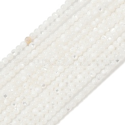 Нити бусин из натуральной белой ракушки G-A177-04-25