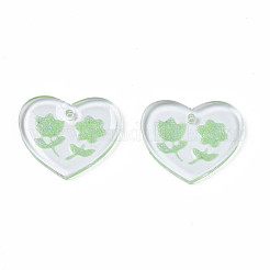 Прозрачные смоляные подвески RESI-N030-001A