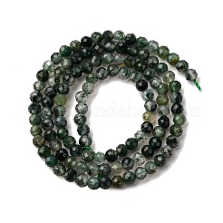 Природные моховой агат бисер нитей&nbsp;G-A129-4mm-01