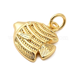 Латунь подвески&nbsp;KK-A266-12N-G