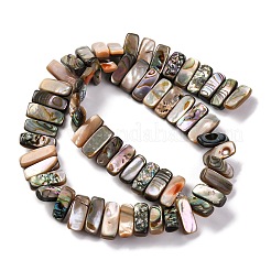 Природные пауа бусы нити BSHE-B007-01