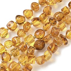 Янтарные шарики нити&nbsp;G-L095-E01-07