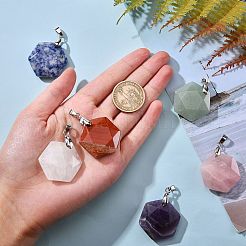 6шт 6 стиля подвески из натуральных смешанных драгоценных камней G-SZ0001-36