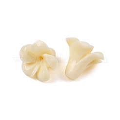 Perles de corail synthétiques teintes&nbsp;X-GG-H001-01A-01