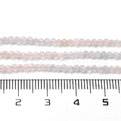 Природные морганит нитей бисера G-B088-C22-02