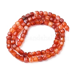 Натуральный полосатый агат / полосатые агатовые бусы G-G005-B02-01A