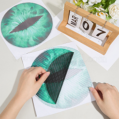 Наклейка на фару автомобиля из ПВХ&nbsp;AJEW-WH20011-48B