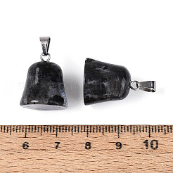 Природные подвески лабрадорита&nbsp;G-N349-15P-02