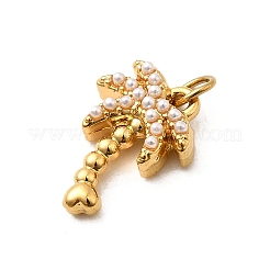 Подвески из искусственного жемчуга ABS из нержавеющей стали 304&nbsp;STAS-B097-07G-01