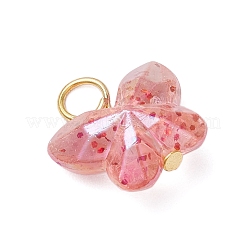 Прозрачные акриловые бусины с железными плоскими головками-булавками подвески PALLOY-JF03597