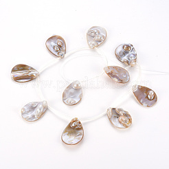 シェルパールのペンダント  トップドリルビーズ  ティアドロップ  貝殻色  34~36x24~26x2~8mm  穴：0.7mm  約10個/連  16.14インチ（41cm）&nbsp;SSHEL-N032-38