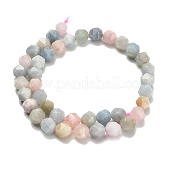 Природные морганит нитей бисера G-H329-E03-10mm-01