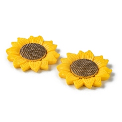 Cabochons di opaco resina&nbsp;RESI-H146-02C