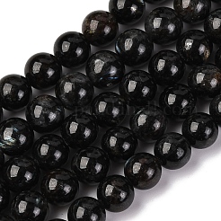 Природные астрофиллитовые бусины G-A202-01B