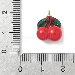 Латунные пластиковые подвески&nbsp;KK-L239-046G-01