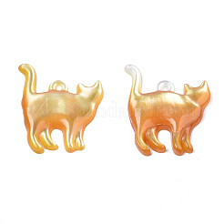 Подвески из натуральной желтой оболочки&nbsp;SSHEL-N027-123-01