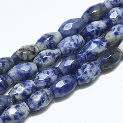 Natürliche blaue Fleck Jaspis Perlen Stränge, facettiert, Oval, 8.5~9x6 mm, Bohrung: 1 mm, ca. 22 Stk. / Strang, 8.07 Zoll
