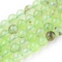 Natur Prehnit Perlen Stränge, Runde, 6.5~7 mm, Bohrung: 1 mm, ca. 62 Stk. / Strang, 15.3~15.5 Zoll (39~39.5)