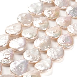 Perle baroque naturelle perles de perles de keshi, perle de culture d'eau douce, larme, niveau 7a+, neige, 17~18x14~14.5x4~4.5mm, Trou: 0.8mm, Environ 21 pcs/chapelet, 14.96''~15.16'' (38~38.5 cm)