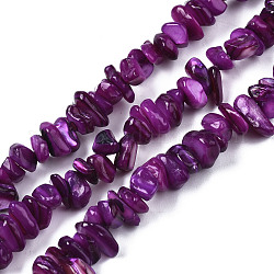 Eau douce naturelle de coquillage perles brins, teinte, puces, violet, 2~6x4~14x4.5~8.5mm, Trou: 0.7~0.8mm, Environ 258~292 pcs/chapelet, 31.10 pouce ~ 32.05 pouces (79 cm ~ 81.4 cm)