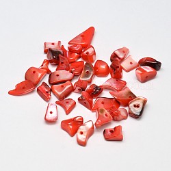 Pepitas de concha natural teñidas chips cuentas, rojo naranja, 11~16x6~9mm, agujero: 1 mm, aproximamente 980 unidades / 500 g