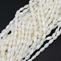 Brins de perles de coquillage naturel teint, ovale, blanc, 8x4mm, Trou: 1mm, Environ 50 pcs/chapelet, 15.7 pouce (40 cm)