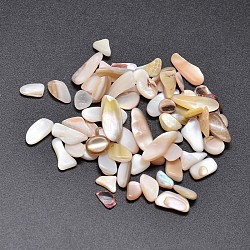 Nuggets shell cabochons, bisque, 6~15x3~7mm, environ 2950 pcs/500 g