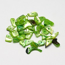 Perles de chips de pépites de coquillages naturels teints, lime green, 11~16x6~9mm, Trou: 1mm, environ 980 pcs/500 g