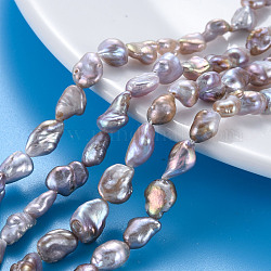 Naturales keshi abalorios de perlas hebras, perla cultivada de agua dulce, pepitas, lavanda, 9~14x6~8x4~7mm, agujero: 0.6 mm, aproximamente 34 pcs / cadena, 14.96'' (38 cm)
