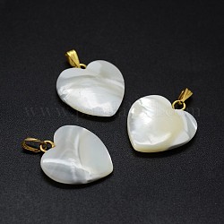 Ciondoli di guscio, con accessori di ottone, cuore, oro, 19~20x17~18x3~5mm, Foro: 2x5 mm