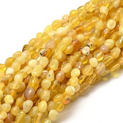 Pépites jaunes naturelles opale perles brins, pierre roulée, 5~10x6~7x3~7mm, Trou: 1mm, environ 14.9 pouce ~ 15.7 pouces