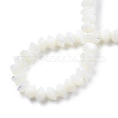 Натуральная оболочка трохида SSHEL-N034-134-1