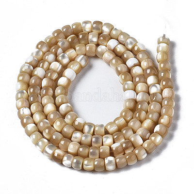 Нити бусин из натуральных трохоидных/трохус ракушек SSHEL-S266-018B-02-1