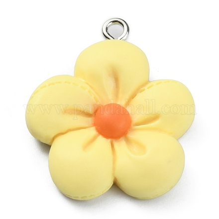 Подвески из непрозрачной смолы FIND-WH0045-66E-1