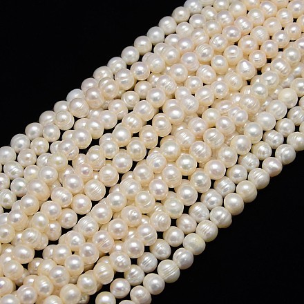 Natural Cultured Freshwater Pearl Beads Strands PEAR-L001-C-05-1