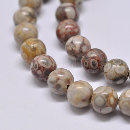 Chapelets de perles maifanite/maifan naturel pierre  X-G-F353-4mm-1